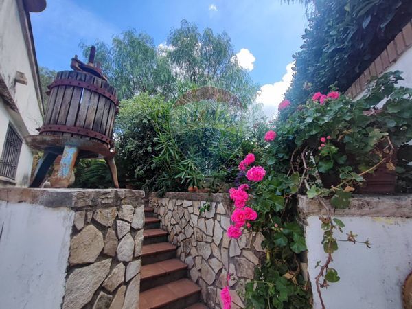 Villa o villino Carano, Sessa Aurunca, CE Vendita