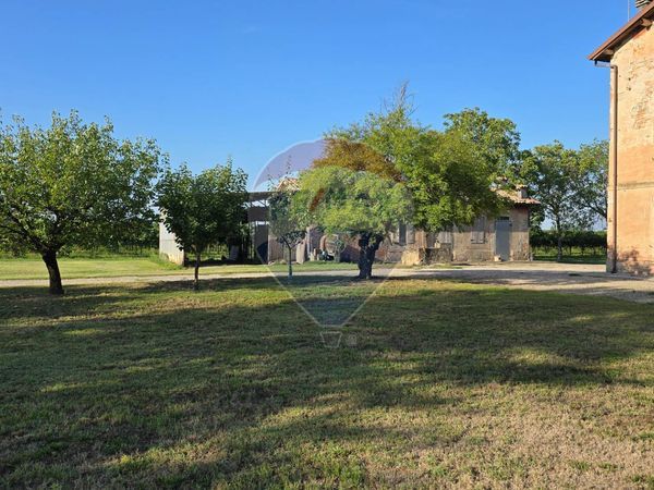 Cascina/Casale Gruppo, Carpi, MO Vendita - Foto 3