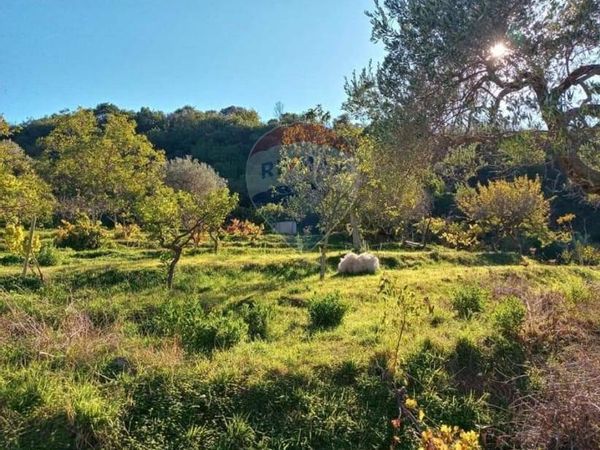 Villa singola Gratteri, PA Vendita - Foto 4