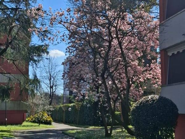 Appartamento Metanopoli, San Donato Milanese, MI Affitto