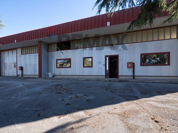 Capannone Industriale Borghetto, Monte San Vito, AN Affitto