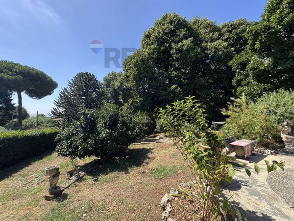 Casa Indipendente Velletri, RM Vendita - Foto 3
