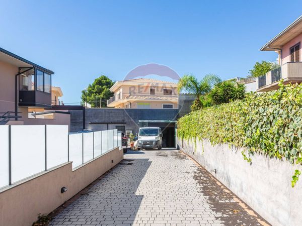 Commerciale Altro Mascalucia, CT Affitto