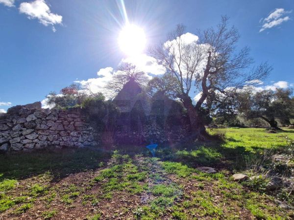 Baita/Chalet/Trullo Ceglie Messapica, BR Vendita