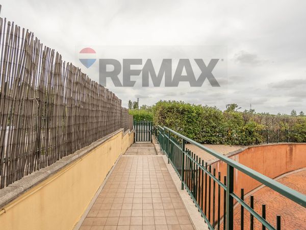 Appartamento Albano Laziale, RM Vendita - Foto 3