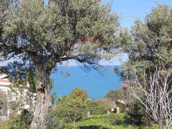 Terreno Edificabile Termini Imerese, PA Vendita - Foto 3