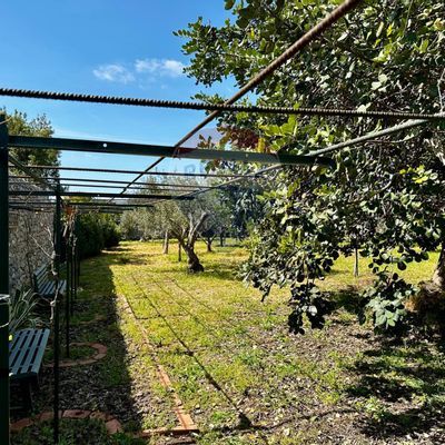 Cascina/Casale Cava D'Ispica, Modica, RG Vendita - Foto 4