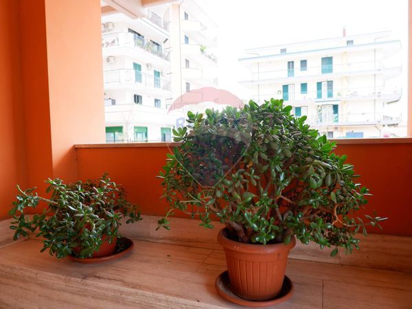 Appartamento Centro, Caserta, CE Vendita - Foto 2