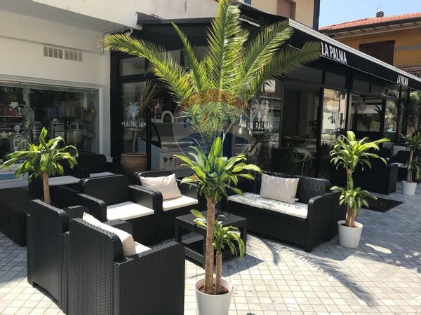 Ristorante Marina di Pietrasanta, Pietrasanta, LU Vendita - Foto 2