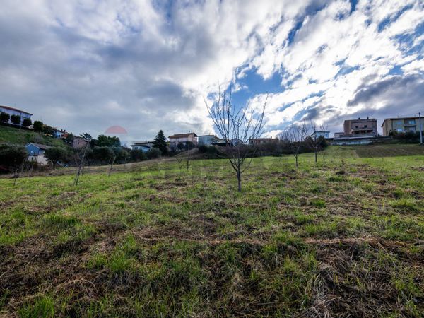 Terreno Edificabile Loreto, AN Vendita - Foto 2