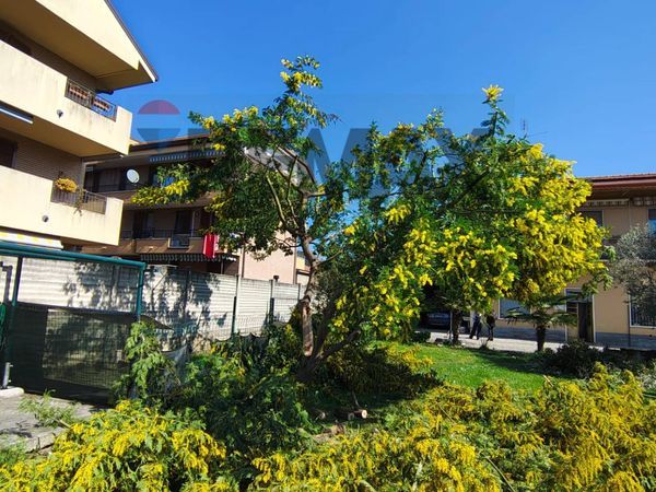Multiproprietà Desio, MB Vendita - Foto 2