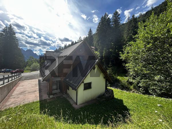 Chalet Collina, Forni Avoltri, UD Vendita - Foto 4