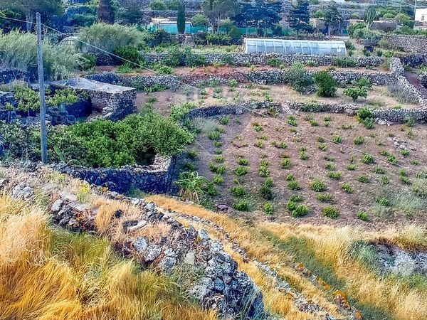 Altro Pantelleria, TP Vendita - Foto 4