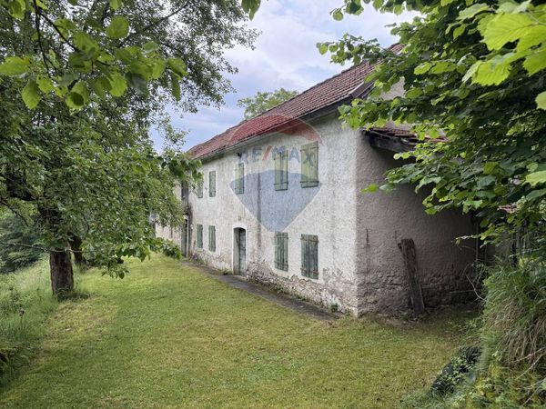 Fattoria Ronce, Belluno, BL Vendita - Foto 2