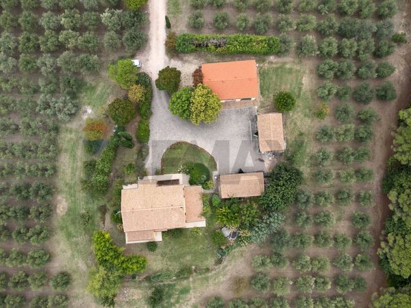 Villa singola Morrovalle, MC Vendita - Foto 4
