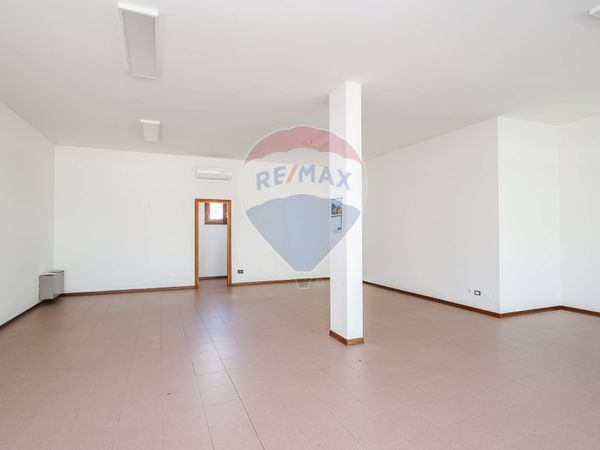 Negozio Mandriola, Albignasego, PD Vendita - Foto 4