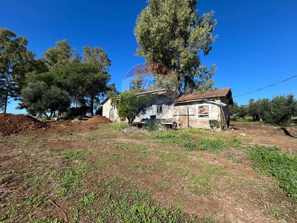 Cascina/Casale Velletri, RM Vendita