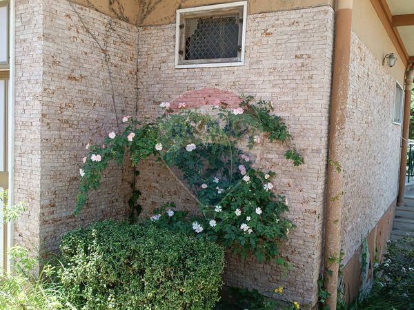 Villa singola Pergusa, Enna, EN Vendita - Foto 4