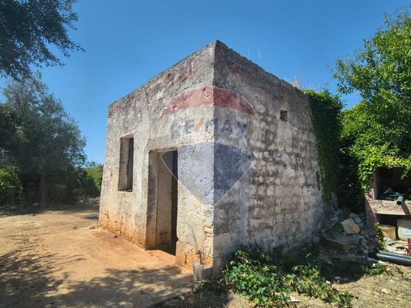 Rustico Polignano a Mare, BA Vendita - Foto 4