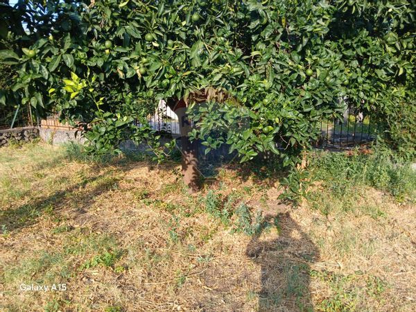 Casa Indipendente Piedimonte Etneo, CT Vendita - Foto 2