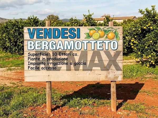 Terreno Bianco, RC Vendita