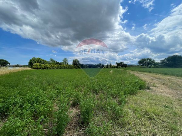 Terreno Jesi, AN Vendita - Foto 3