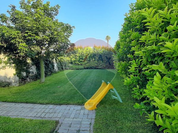 Villa singola Petrosino, TP Vendita - Foto 4