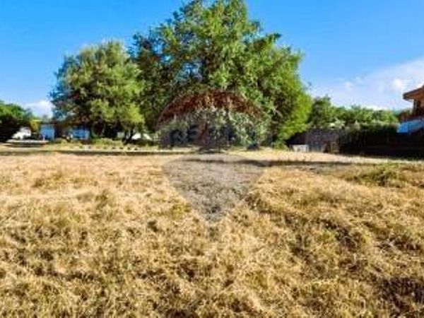 Terreno Edificabile Linguaglossa, CT Vendita