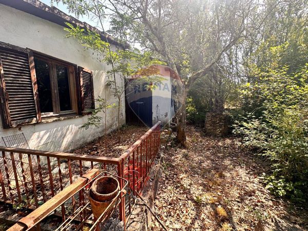 Casa Indipendente Civitella d'Agliano, VT Vendita - Foto 2