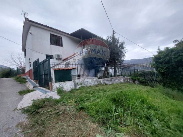 Cascina/Casale Pulcherini, Minturno, LT Vendita - Foto 4