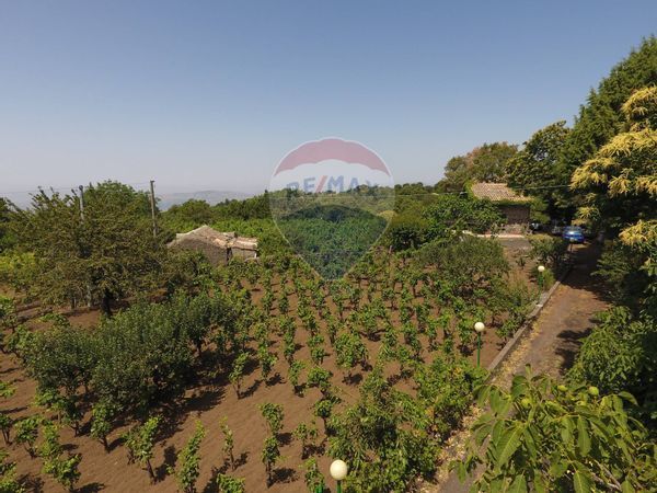 Baita/Chalet/Trullo Santa Maria di Licodia, CT Vendita - Foto 3