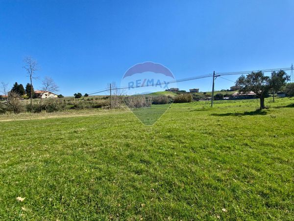 Terreno Edificabile San Marco Argentano, CS Vendita - Foto 3