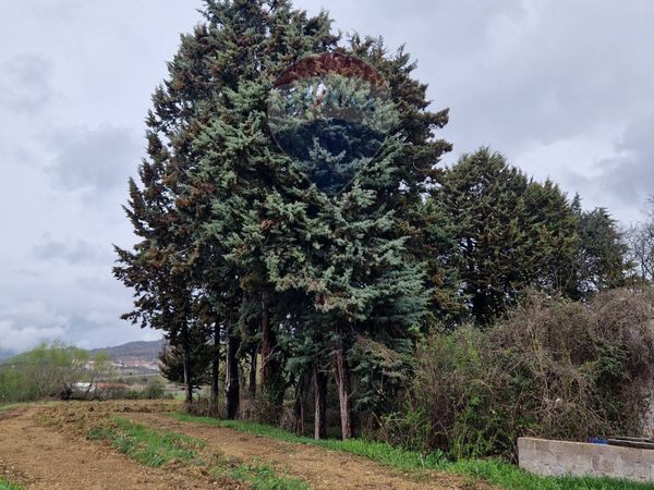 Terreno Industriale Cerchio, AQ Vendita