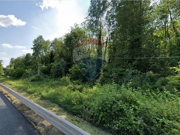 Terreno Edificabile Comabbio, VA Vendita - Foto 2