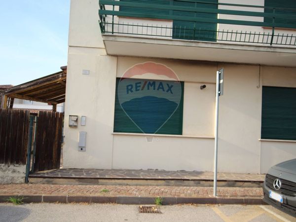 Appartamento Tribano, PD Vendita - Foto 2