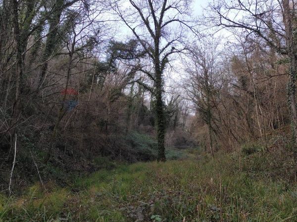 Terreno Breda, Fregona, TV Vendita - Foto 4