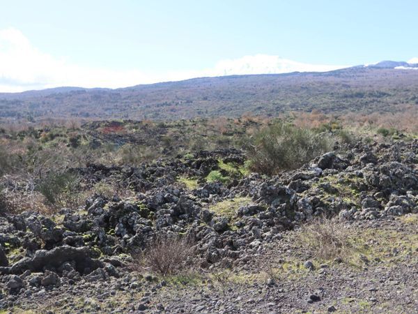 Terreno Edificabile Linguaglossa, CT Vendita - Foto 3