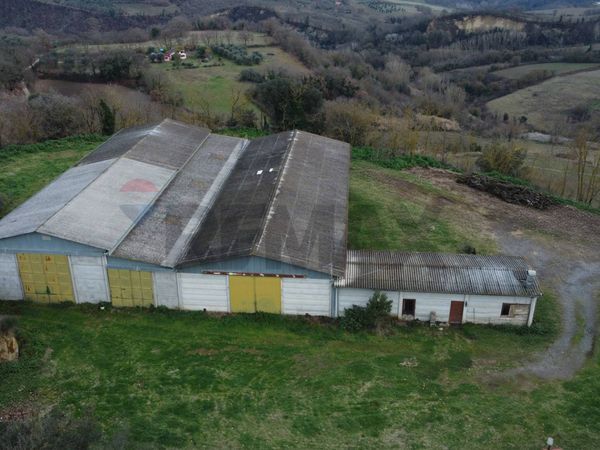 Terreno Celleno, VT Vendita - Foto 2