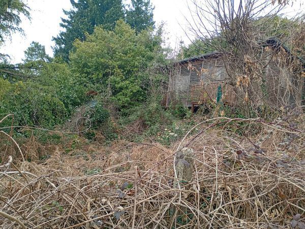 Baita/Chalet/Trullo Panicagliora, Marliana, PT Vendita - Foto 4