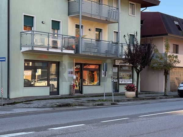 Locale Commerciale Bivio, Ponte nelle Alpi, BL Vendita