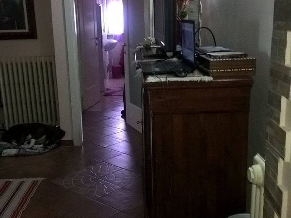Appartamento Sant'Angelo Lodigiano, LO Vendita - Foto 2