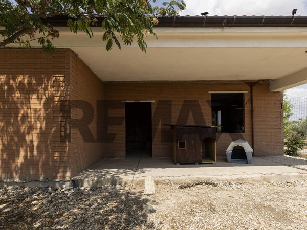Villa singola Troia, FG Vendita - Foto 3