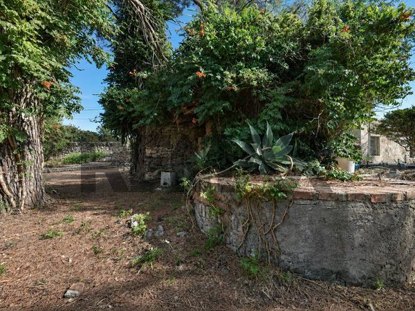 Cascina/Casale Sud, Messina, ME Vendita - Foto 4
