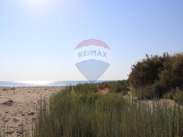 Appartamento Policoro, MT Affitto - Foto 3