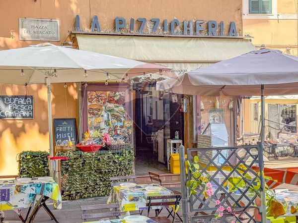 Attività  Commerciale Vermicino, Frascati, RM Vendita