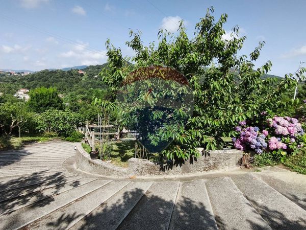 Casa Indipendente Stella, SV Vendita - Foto 2