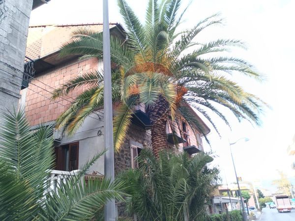 Appartamento Randazzo, CT Vendita - Foto 2