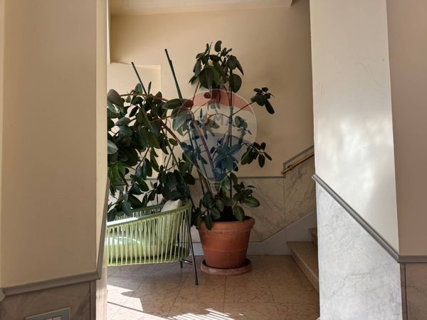 Appartamento Centrale, Bergamo, BG Affitto - Foto 4