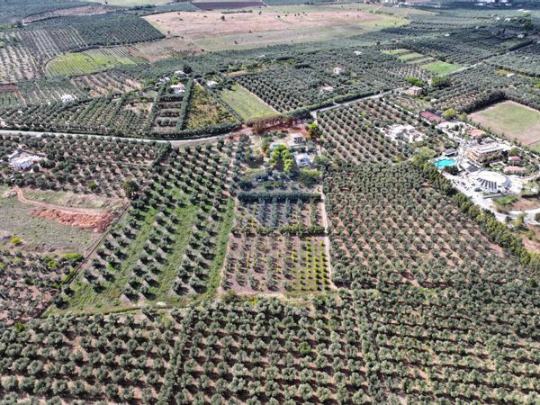 Altro Rodi Garganico, FG Vendita - Foto 2