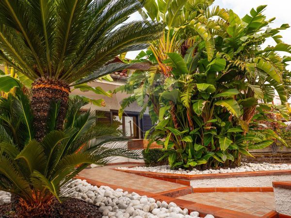 Villa singola Valenzano, BA Vendita - Foto 3